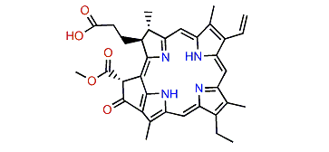 Pheophorbide A